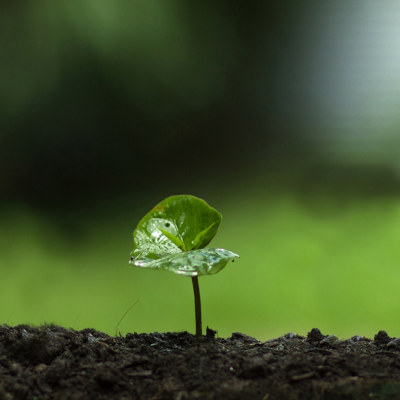 Environmental Policy